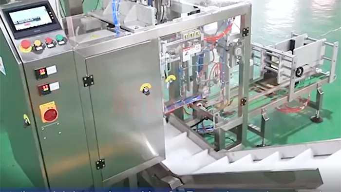 DT Horizontal Pre-made Pouch Machine